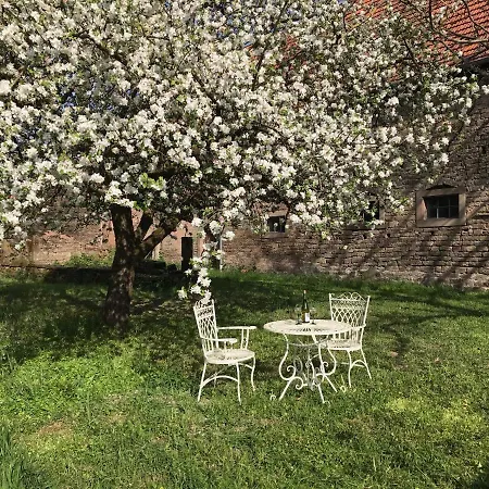 Maison Zielinger *